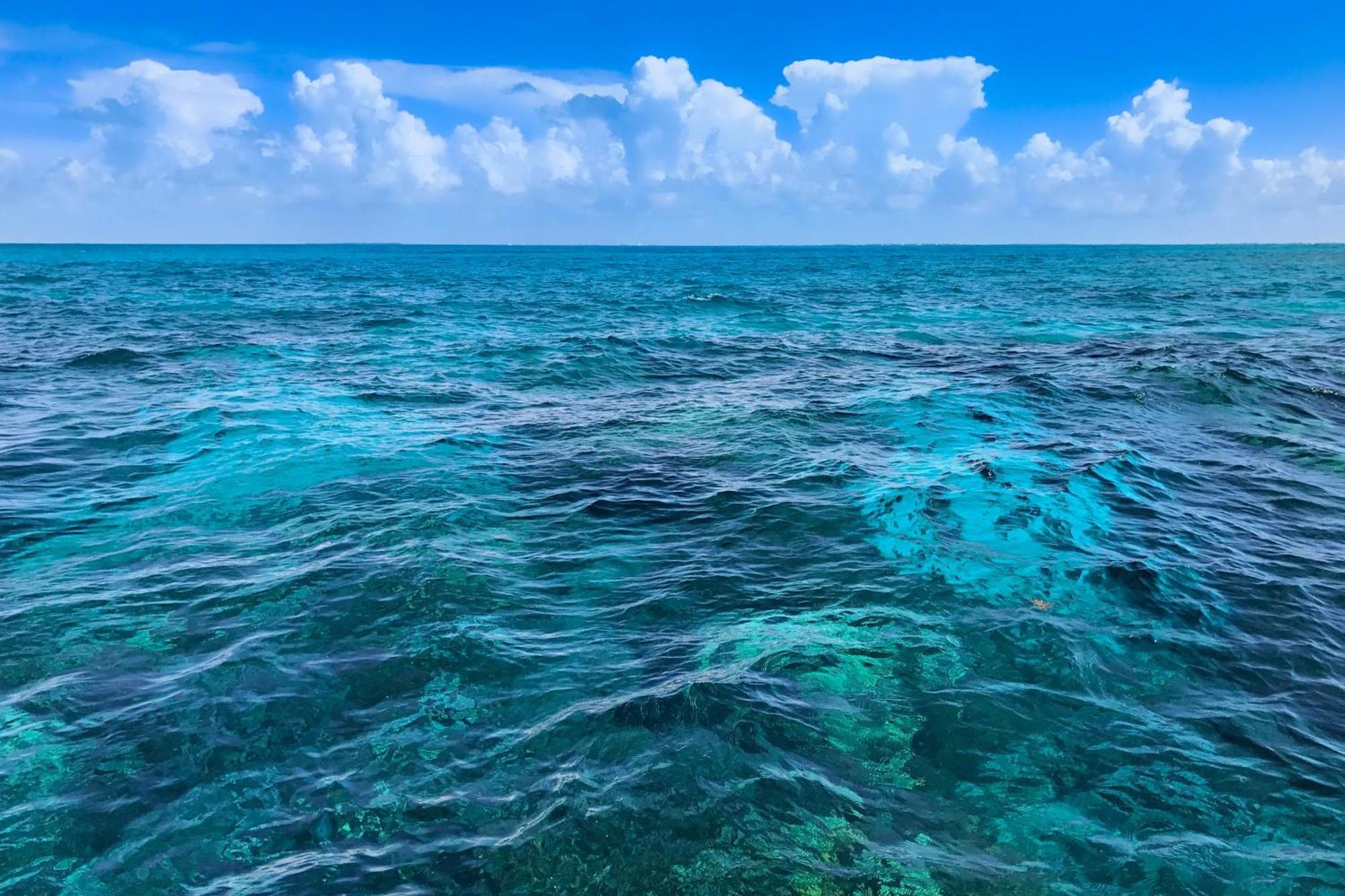 Sunrise Suites - Sea Breeze Suite 101 Key West Rom bilde